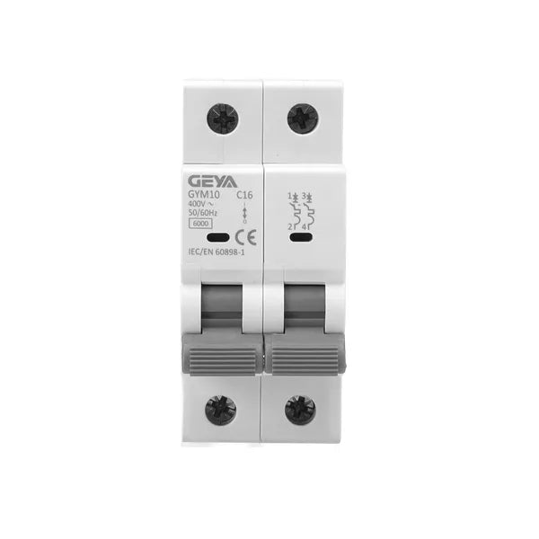 GEYA GYM10-6kA-2P in Pakistan - 63A
