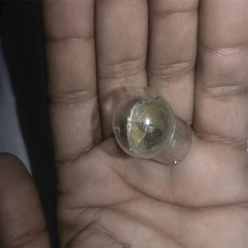 Indicator Bulb